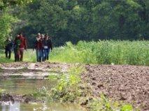 Vila De Bosbeekpoort Opglabbeek Pokoj fotografie